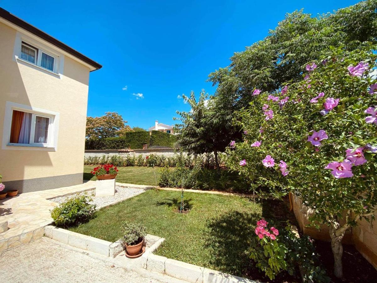 Apartman Luna Sveti Lovreč Pazenatički 외부 사진