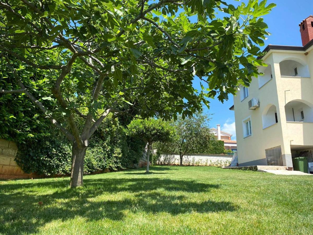 Apartman Luna Sveti Lovreč Pazenatički 외부 사진